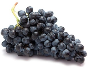 Czarne - Winogrono - w Donicy - Nero